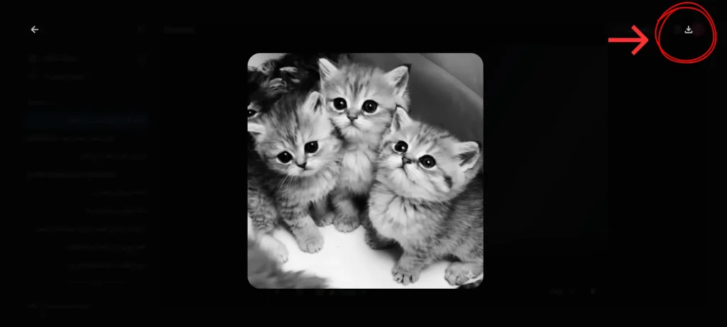 تحويل الصور إلى أبيض وأسود