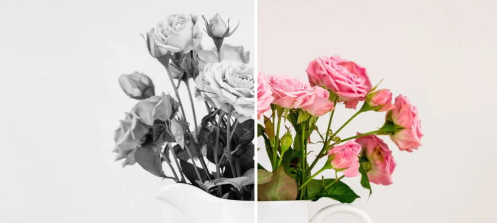 تحويل الصور إلى أبيض وأسود