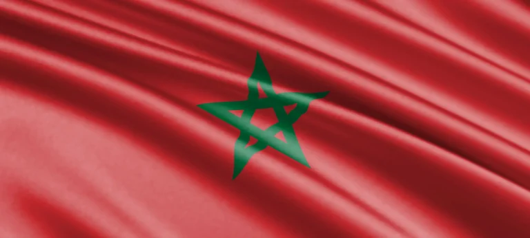 المغرب يعزز الذكاء الاصطناعي المسؤول والشامل في قمة نيودلهي