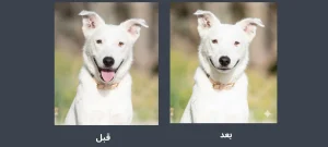 نصوص تعديل الصور بالذكاء الاصطناعي