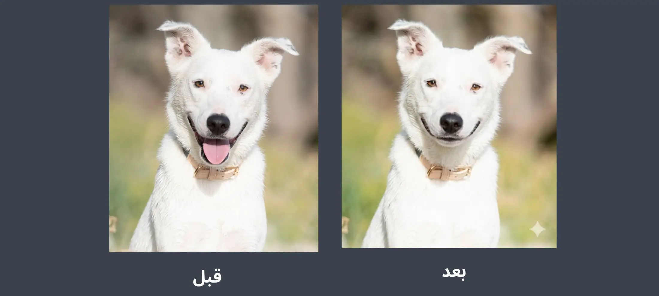 نصوص تعديل الصور بالذكاء الاصطناعي