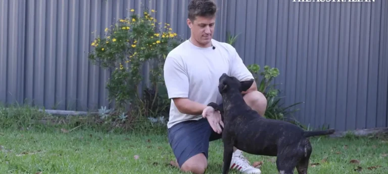 الذكاء الاصطناعي يطور لقاحًا يقلص ورم كلب مصاب بالسرطان