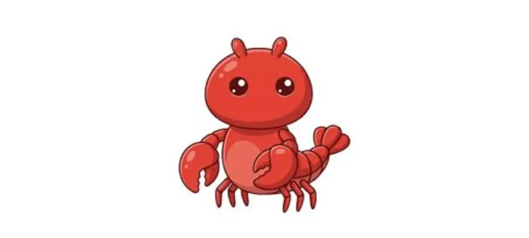 منصة مولت بوك