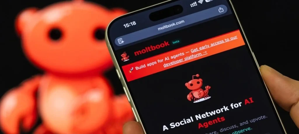 منصة مولت بوك