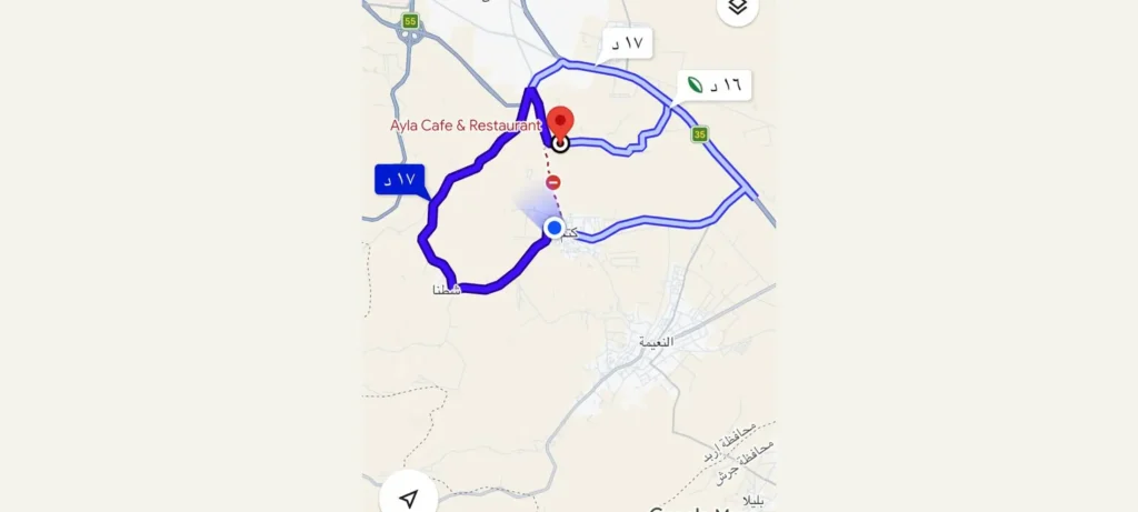 خرائط جوجل بالذكاء الاصطناعي